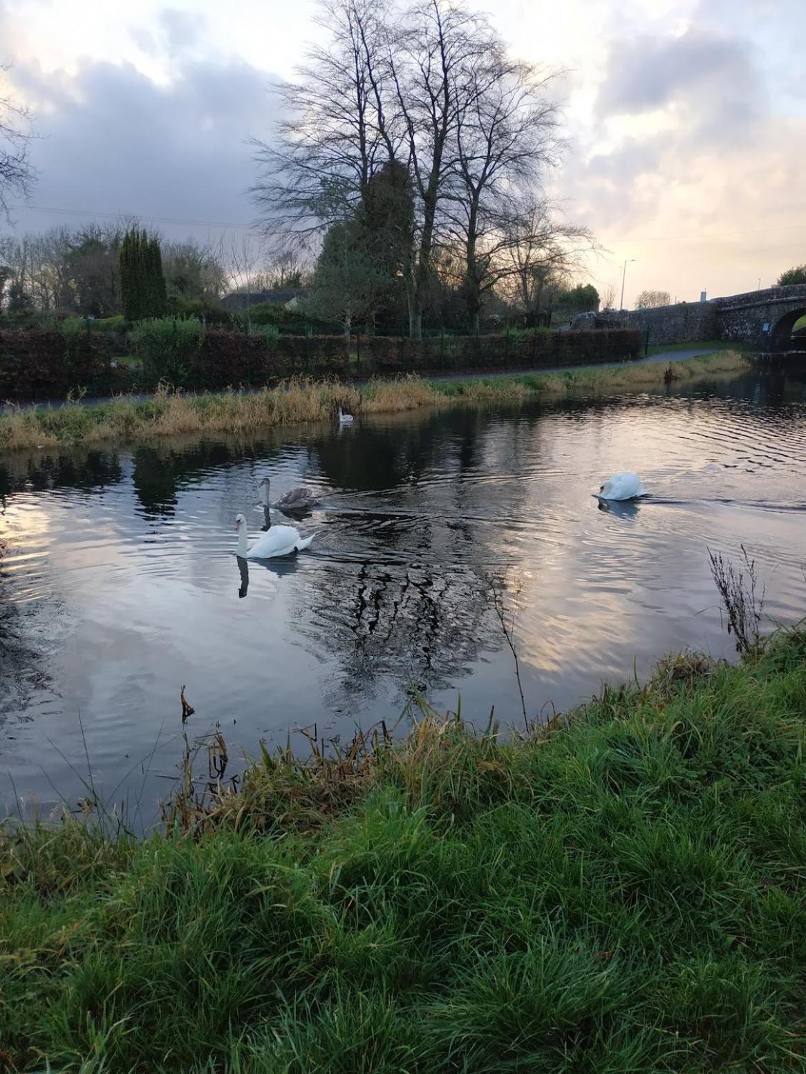 Greenway Guesthouse Mullingar Exterior foto